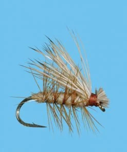 Solitude Elk Hair Caddis (D180) 6-Pack Flies