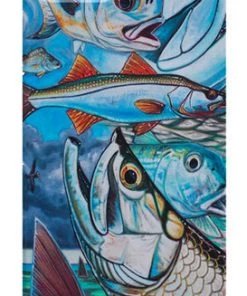 Deyoung Iphone 5/5s Case - Vibe Accessories