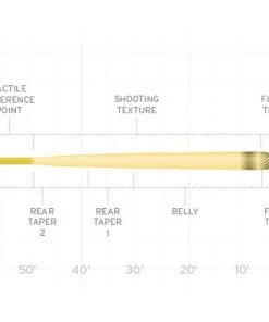 Scientific Anglers Amplitude Infinity Fly Line