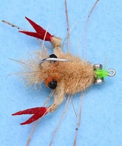 Enrico Puglisi Sand Crab (3-Pack)