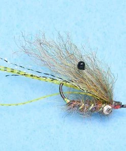 Enrico Puglisi Ghost Shrimp (3-Pack)