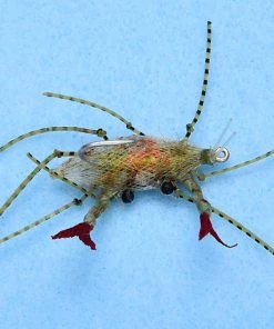 Enrico Puglisi Ep Soft Shell Egg #1 (3-Pack)