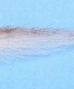 Enrico Puglisi Roosterfish Sardina (3-Pack)