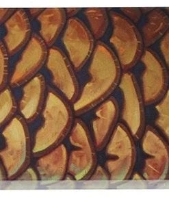 Deyoung Iphone 5/5s Case - Vibe Accessories