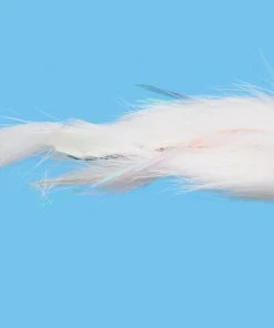 Solitude Dali Lama (St0275) 6-Pack