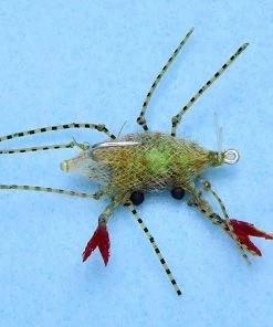 Enrico Puglisi Ep Soft Shell Egg #1 (3-Pack)