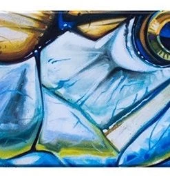 Deyoung Iphone 5/5s Case - Vibe Accessories