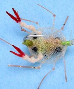 Enrico Puglisi Descendent Crab (3-Pack)