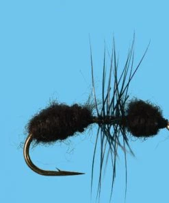 Solitude Ant (T010) 6-Pack