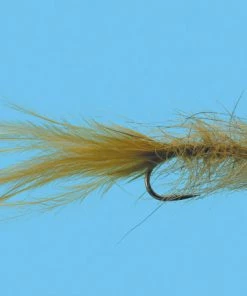 Solitude Hale Bopp Leech (Df200) 6-Pack