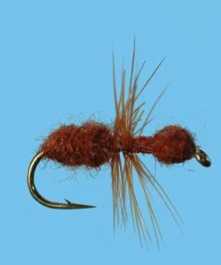 Solitude Ant (T010) 6-Pack