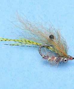 Enrico Puglisi Ghost Shrimp (3-Pack)