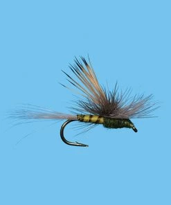 Solitude Tiltwing - Bwo (D387ol) 6-Pack
