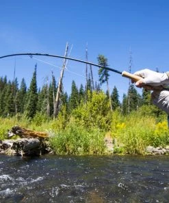 Thomas And Thomas Rods Thomas & Thomas Avantt Fly Rod 9 Thomas And Thomas Rods Thomas & Thomas Avantt Fly Rod