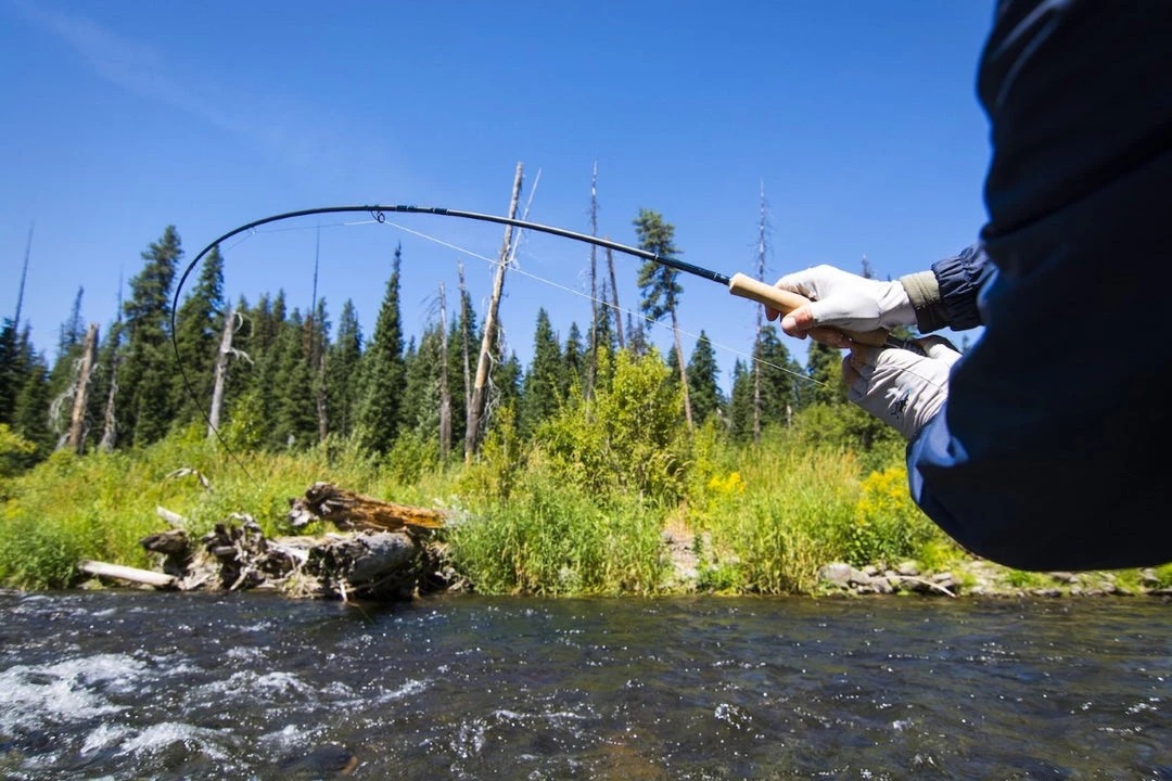 Thomas And Thomas Rods Thomas & Thomas Avantt Fly Rod 6 Thomas And Thomas Rods Thomas & Thomas Avantt Fly Rod