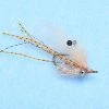 Enrico Puglisi Ghost Shrimp (3-Pack) 2 Enrico Puglisi Ghost Shrimp (3-Pack)