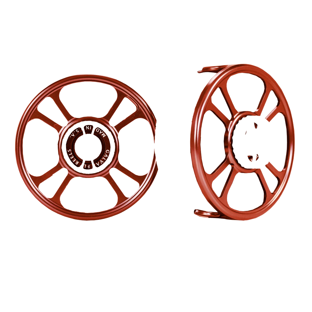 Custom Galvan Torque Reels 16 Custom Galvan Torque Reels